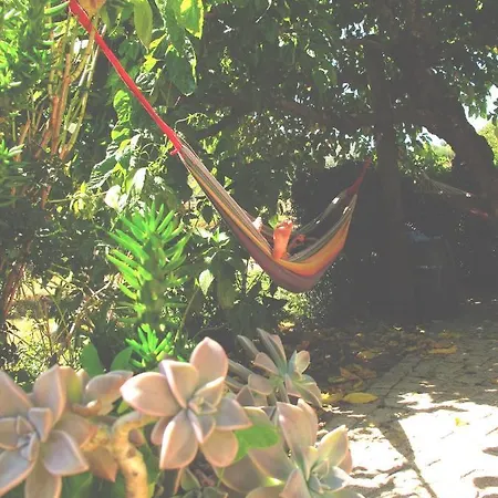 Hébergement de vacances Casa Lapas *